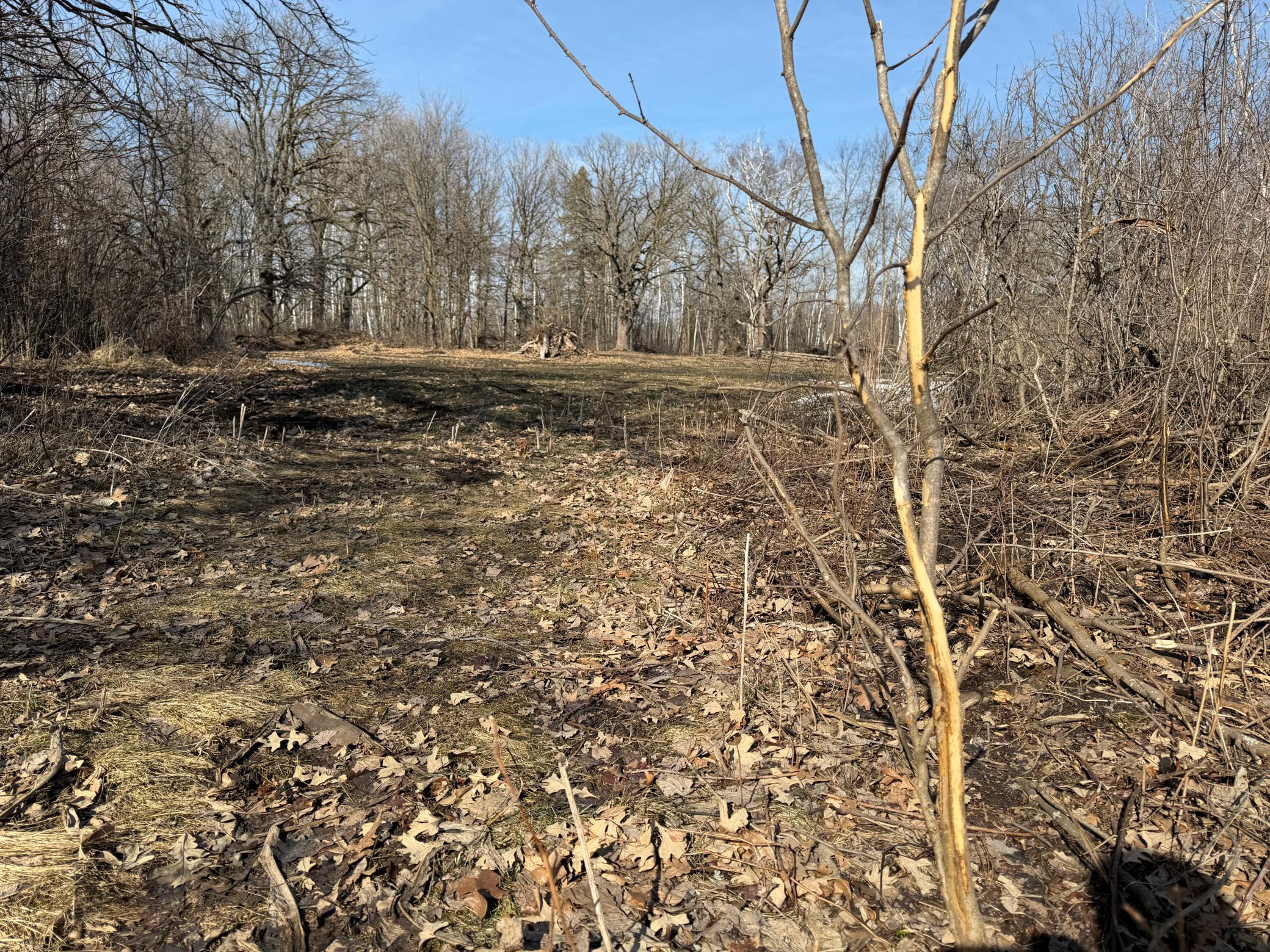 Tbd 270th Street Wadena, MN 56482 - Photo 37 of 81