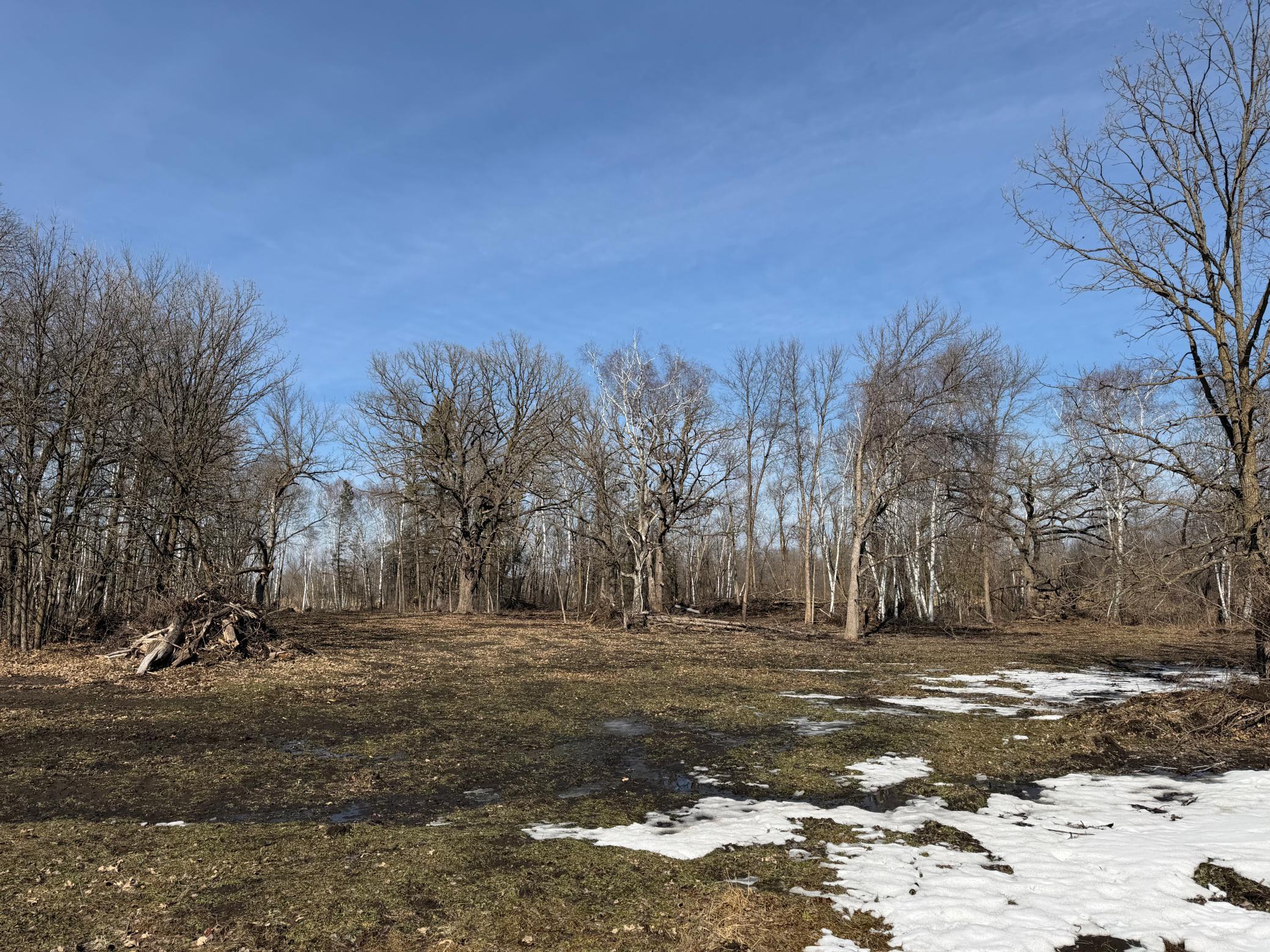 Tbd 270th Street Wadena, MN 56482 - Photo 38 of 81