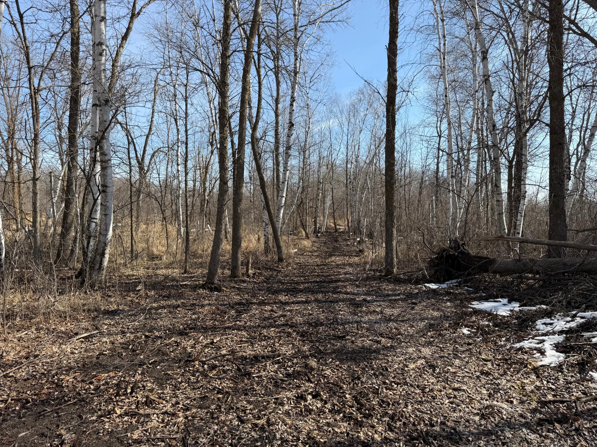 Tbd 270th Street Wadena, MN 56482 - Photo 39 of 81