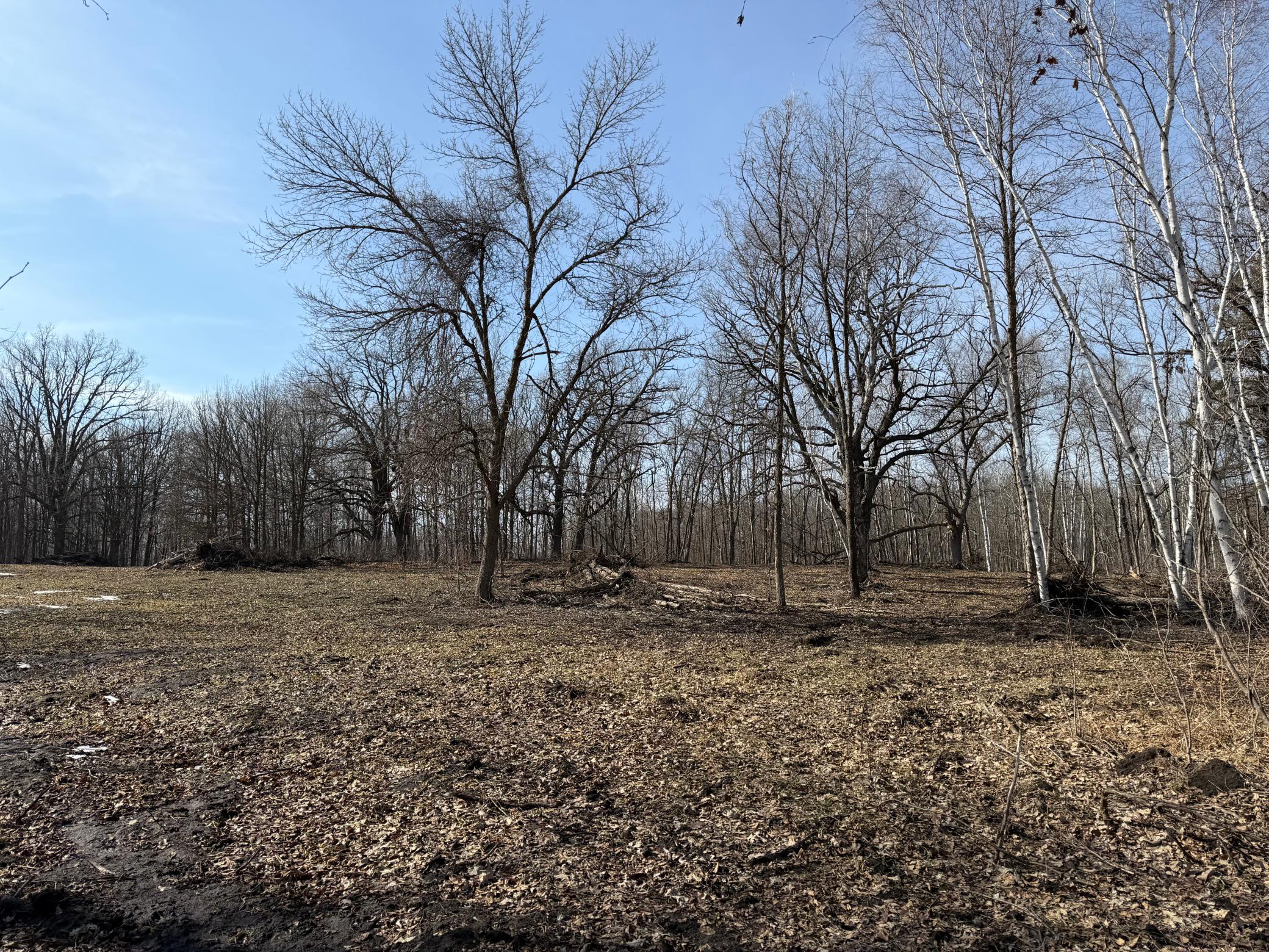 Tbd 270th Street Wadena, MN 56482 - Photo 40 of 81