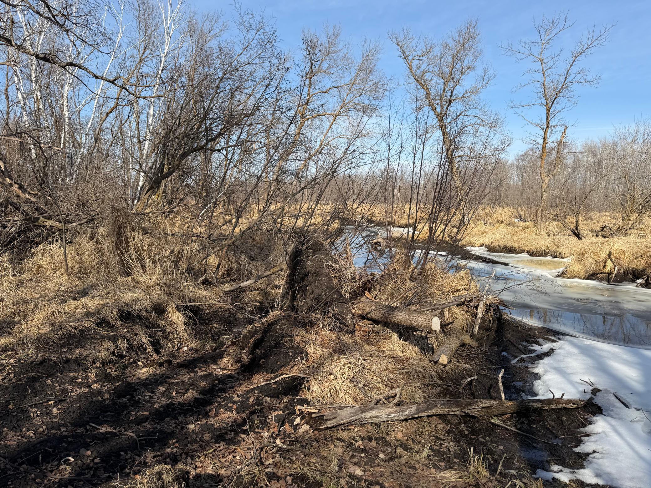 Tbd 270th Street Wadena, MN 56482 - Photo 41 of 81