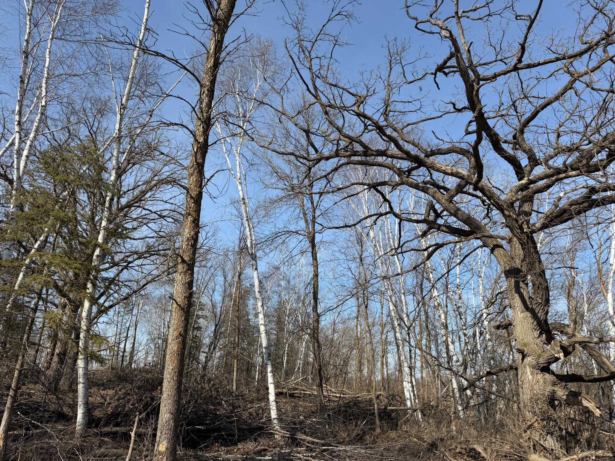 Tbd 270th Street Wadena, MN 56482 - Photo 42 of 81