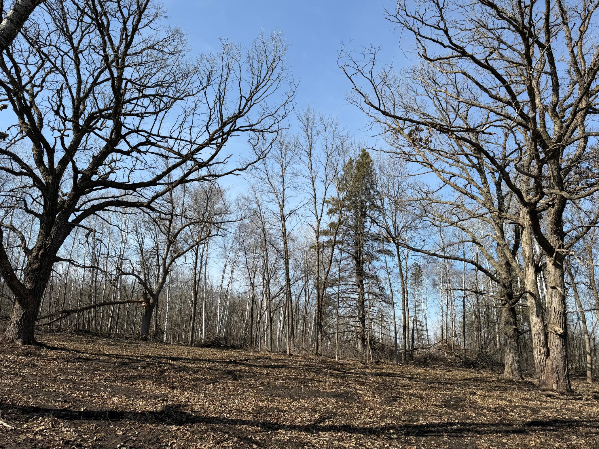 Tbd 270th Street Wadena, MN 56482 - Photo 43 of 81