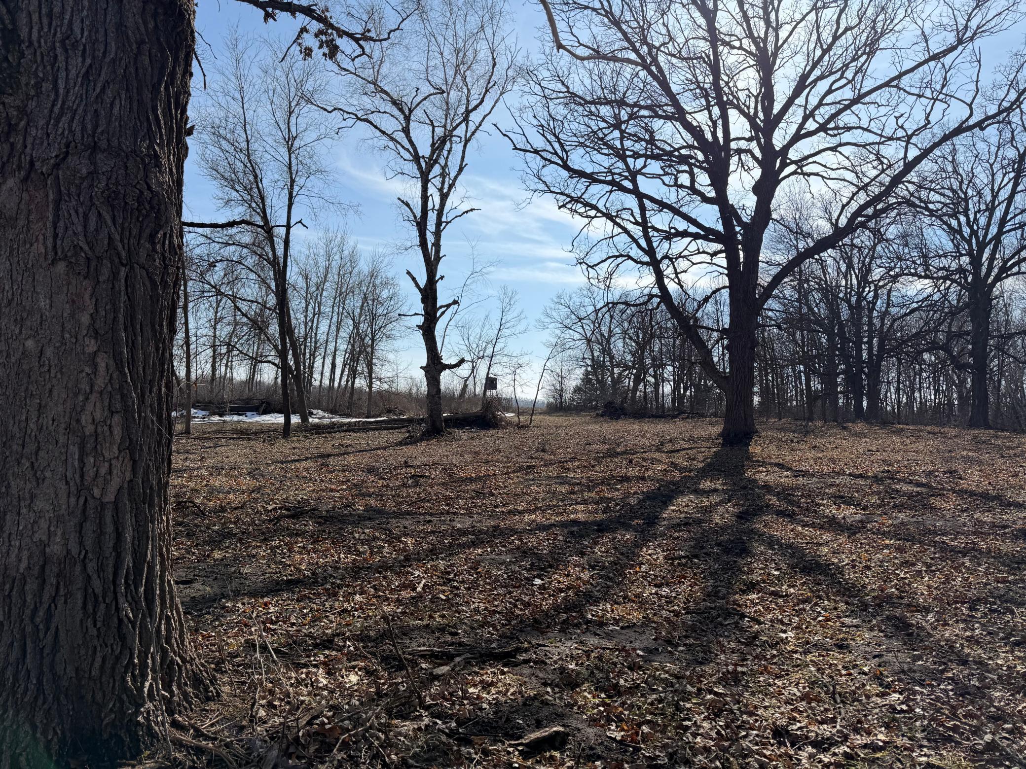 Tbd 270th Street Wadena, MN 56482 - Photo 44 of 81