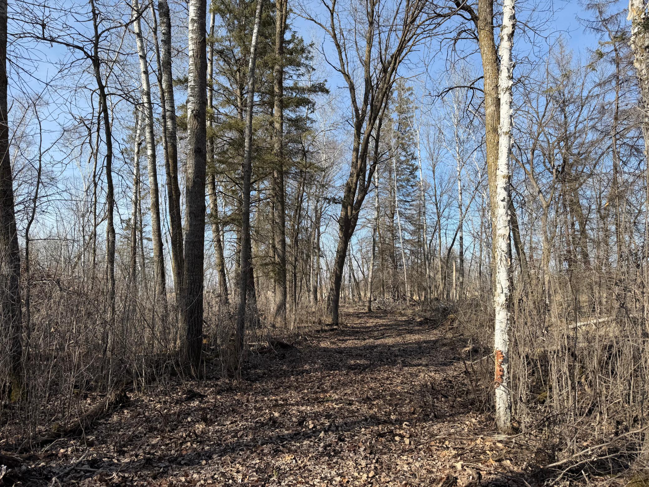 Tbd 270th Street Wadena, MN 56482 - Photo 45 of 81