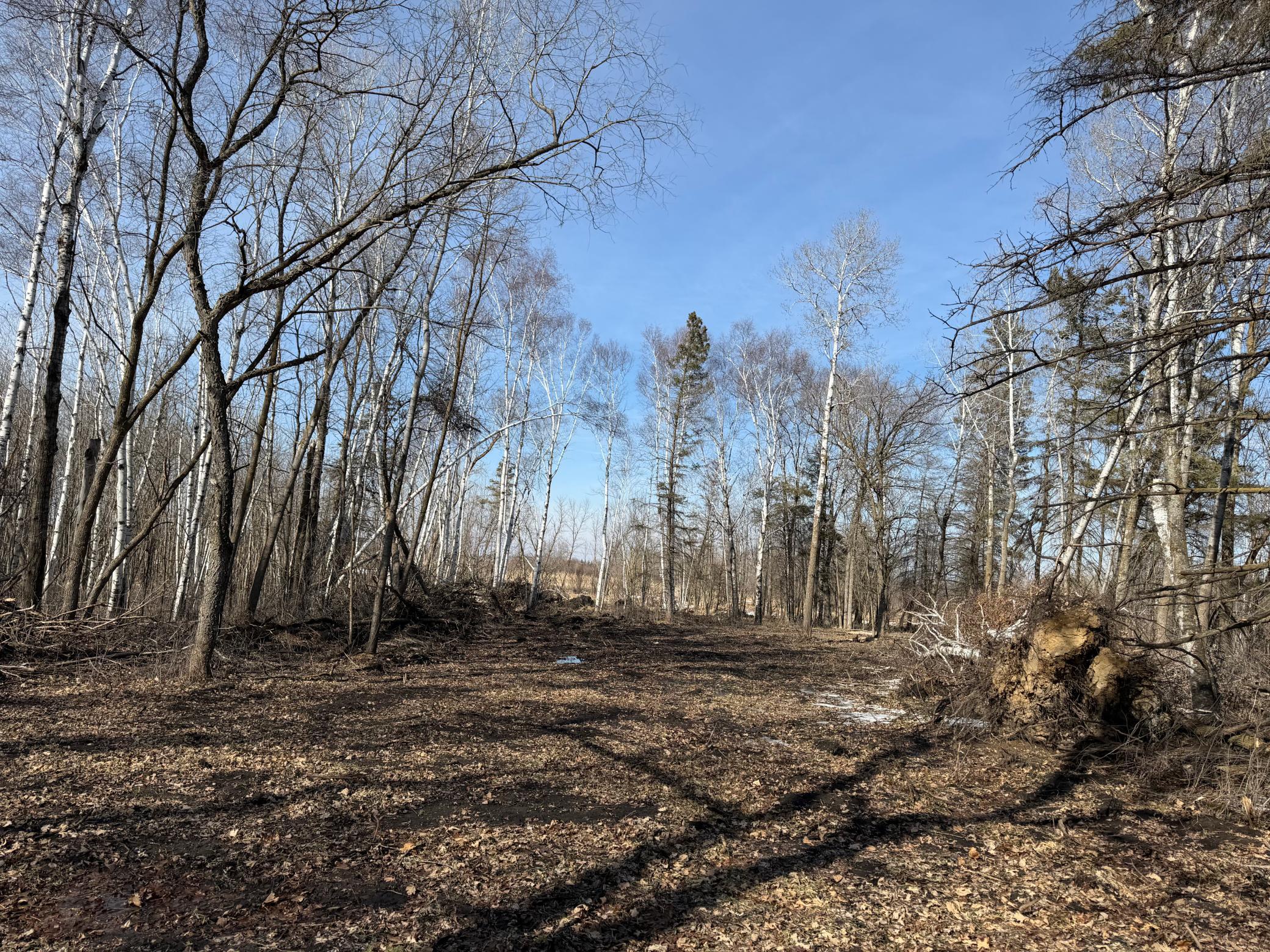 Tbd 270th Street Wadena, MN 56482 - Photo 46 of 81