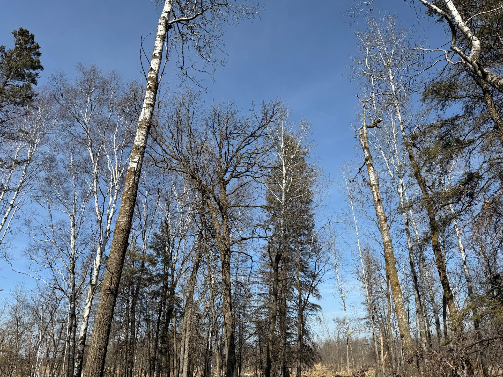 Tbd 270th Street Wadena, MN 56482 - Photo 47 of 81