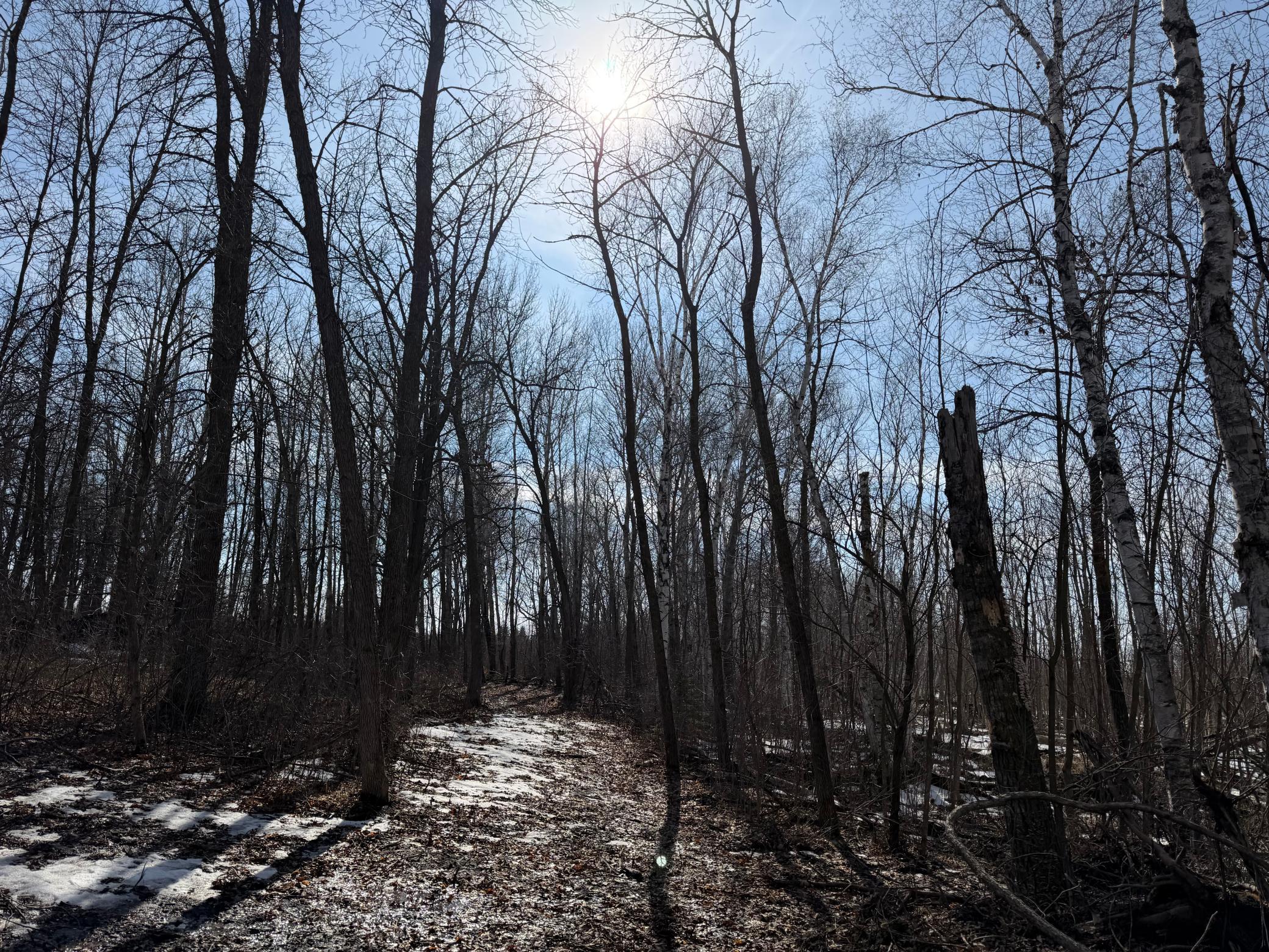 Tbd 270th Street Wadena, MN 56482 - Photo 48 of 81