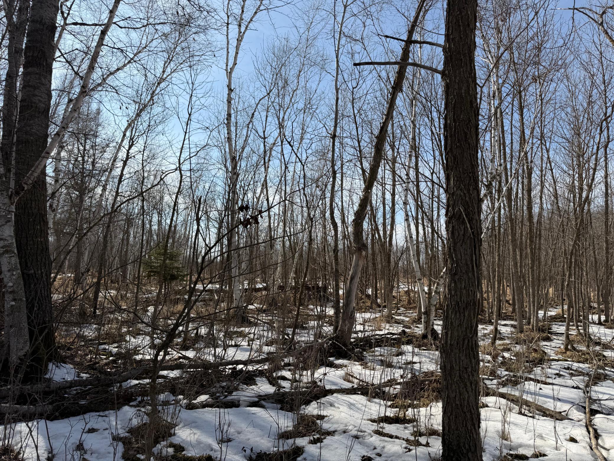 Tbd 270th Street Wadena, MN 56482 - Photo 49 of 81