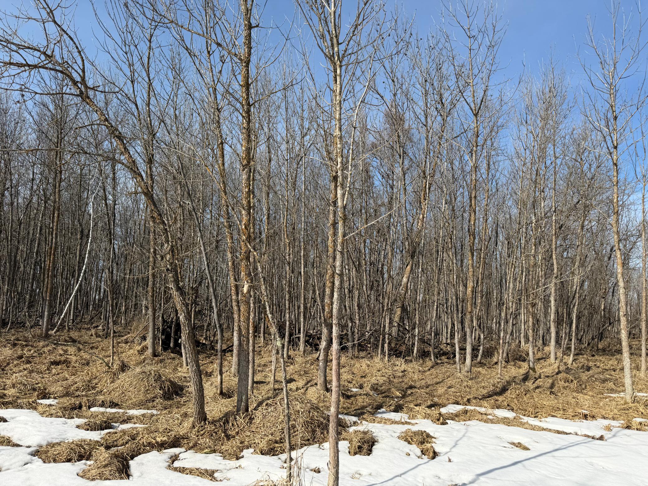 Tbd 270th Street Wadena, MN 56482 - Photo 50 of 81