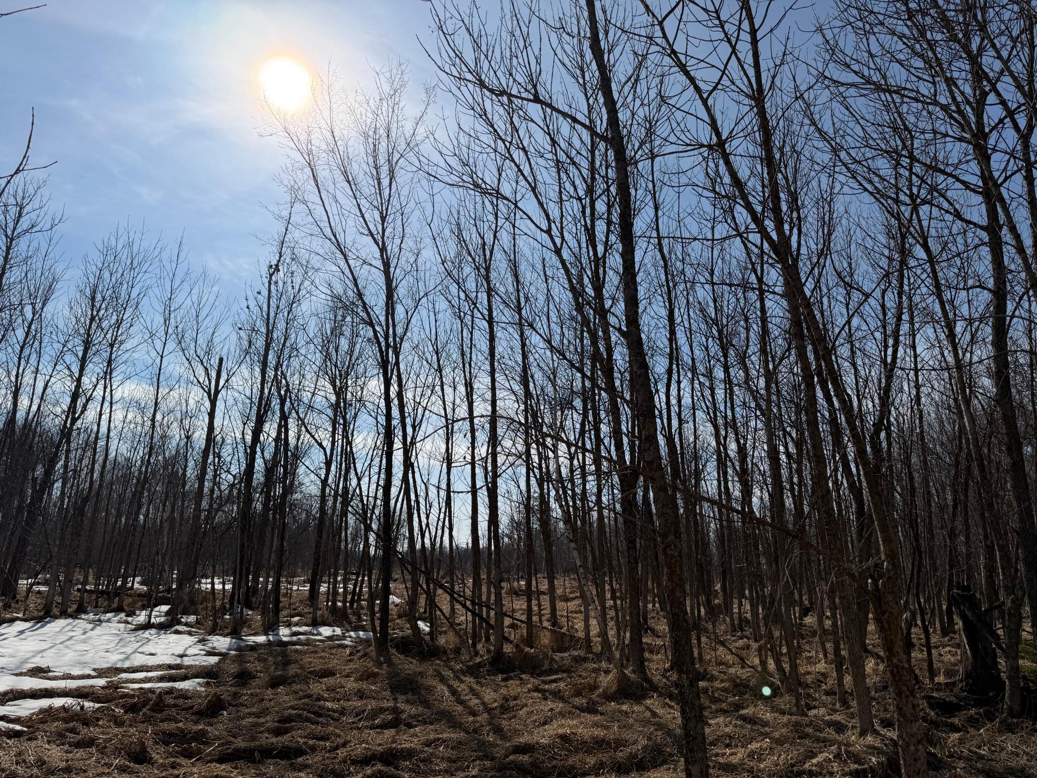 Tbd 270th Street Wadena, MN 56482 - Photo 51 of 81