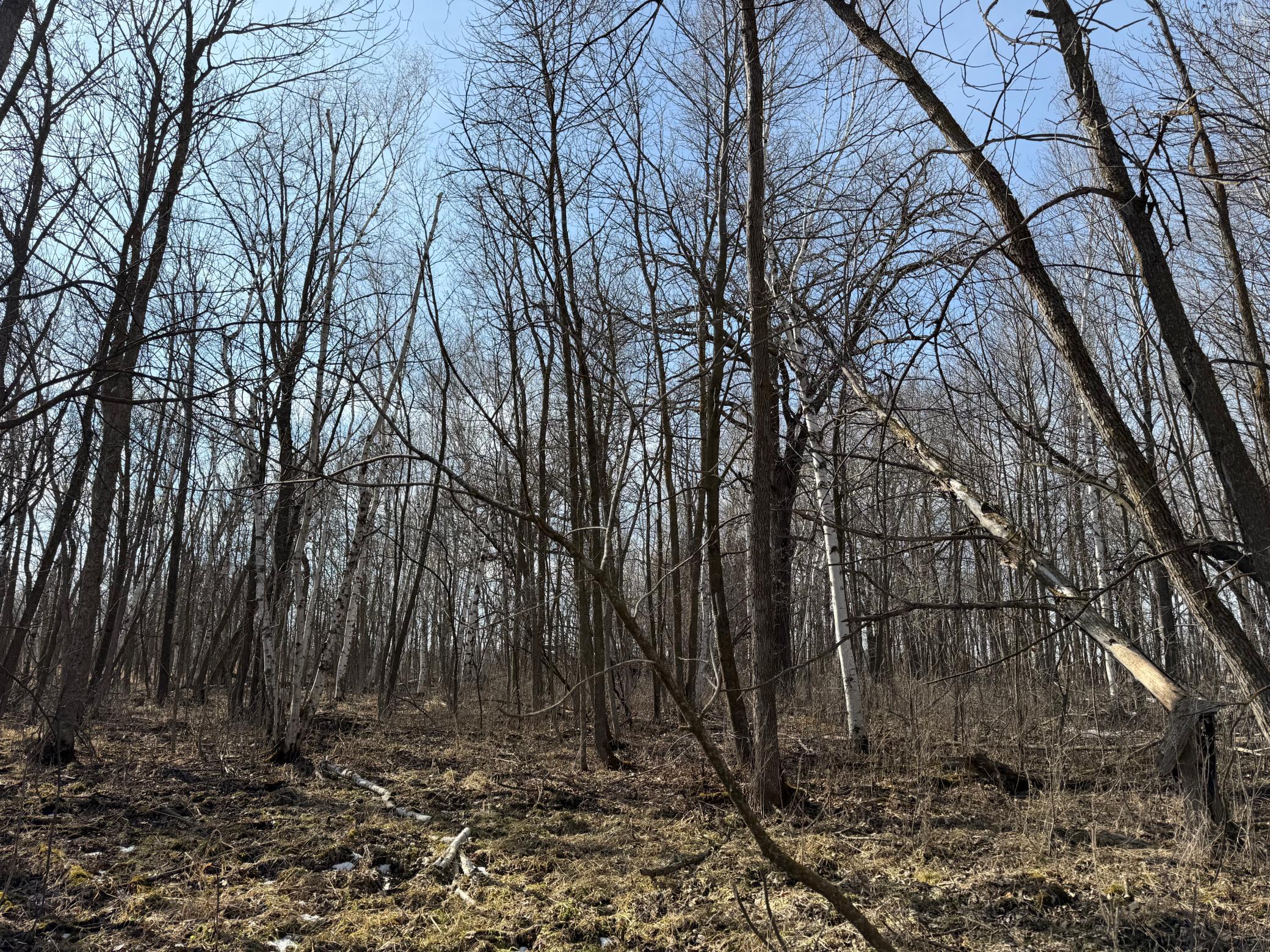 Tbd 270th Street Wadena, MN 56482 - Photo 52 of 81