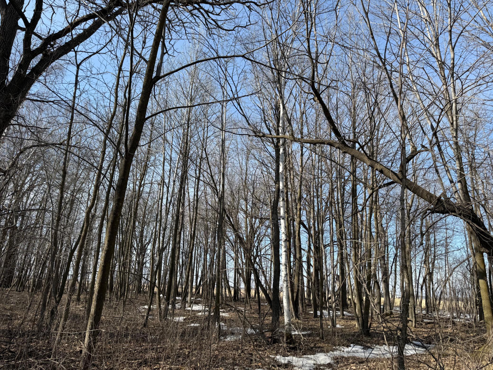 Tbd 270th Street Wadena, MN 56482 - Photo 53 of 81