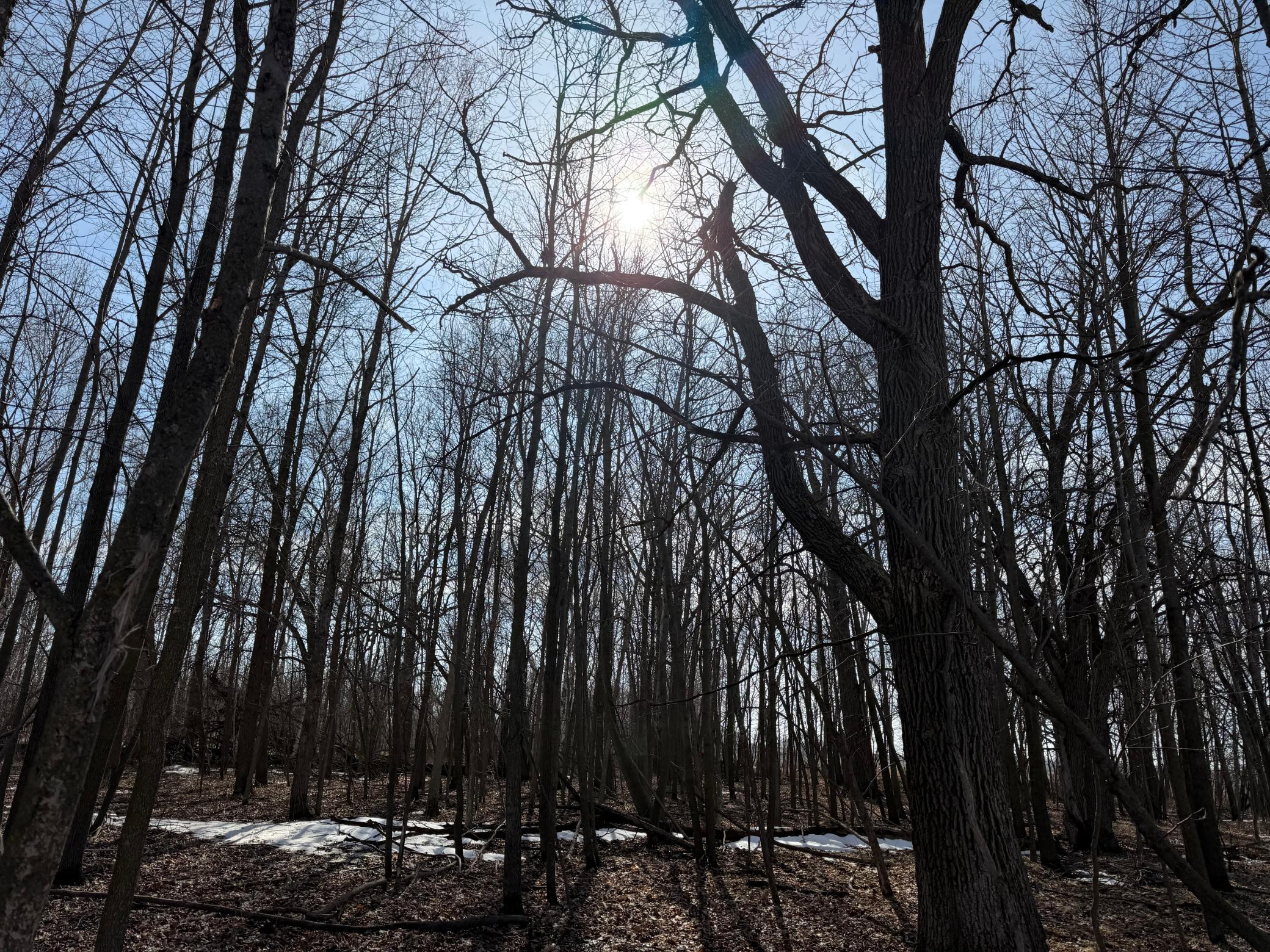 Tbd 270th Street Wadena, MN 56482 - Photo 54 of 81