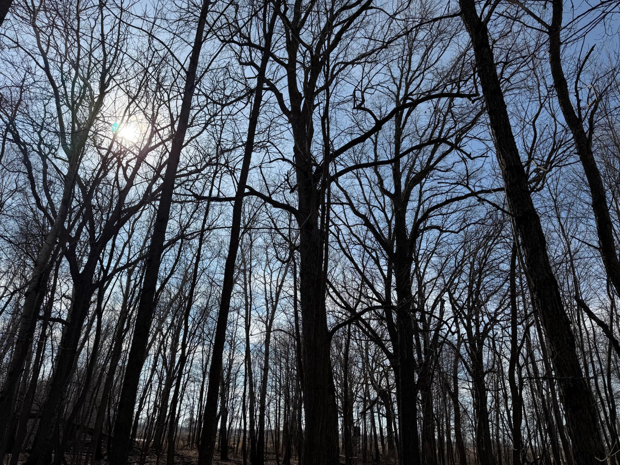 Tbd 270th Street Wadena, MN 56482 - Photo 55 of 81