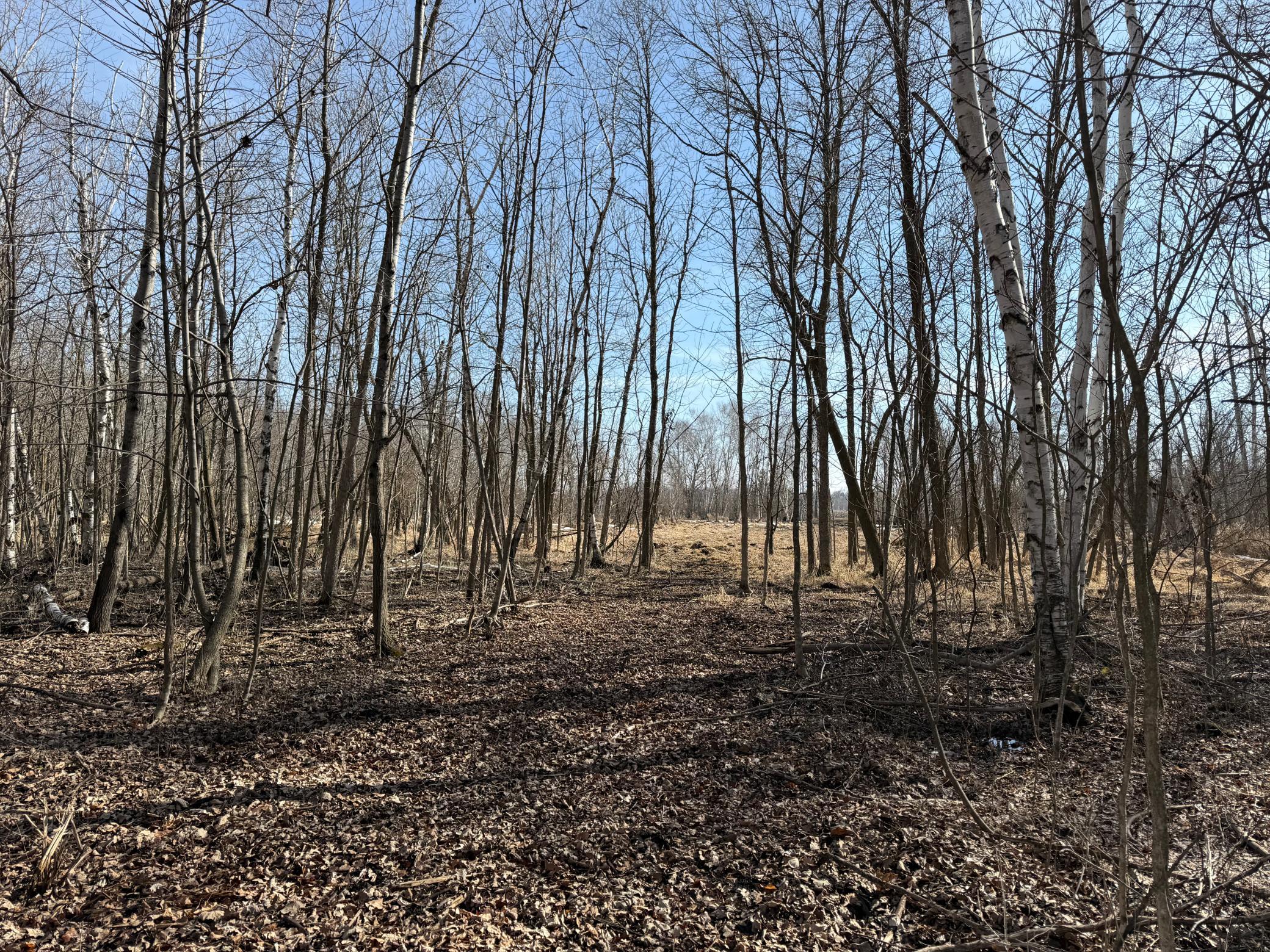 Tbd 270th Street Wadena, MN 56482 - Photo 56 of 81