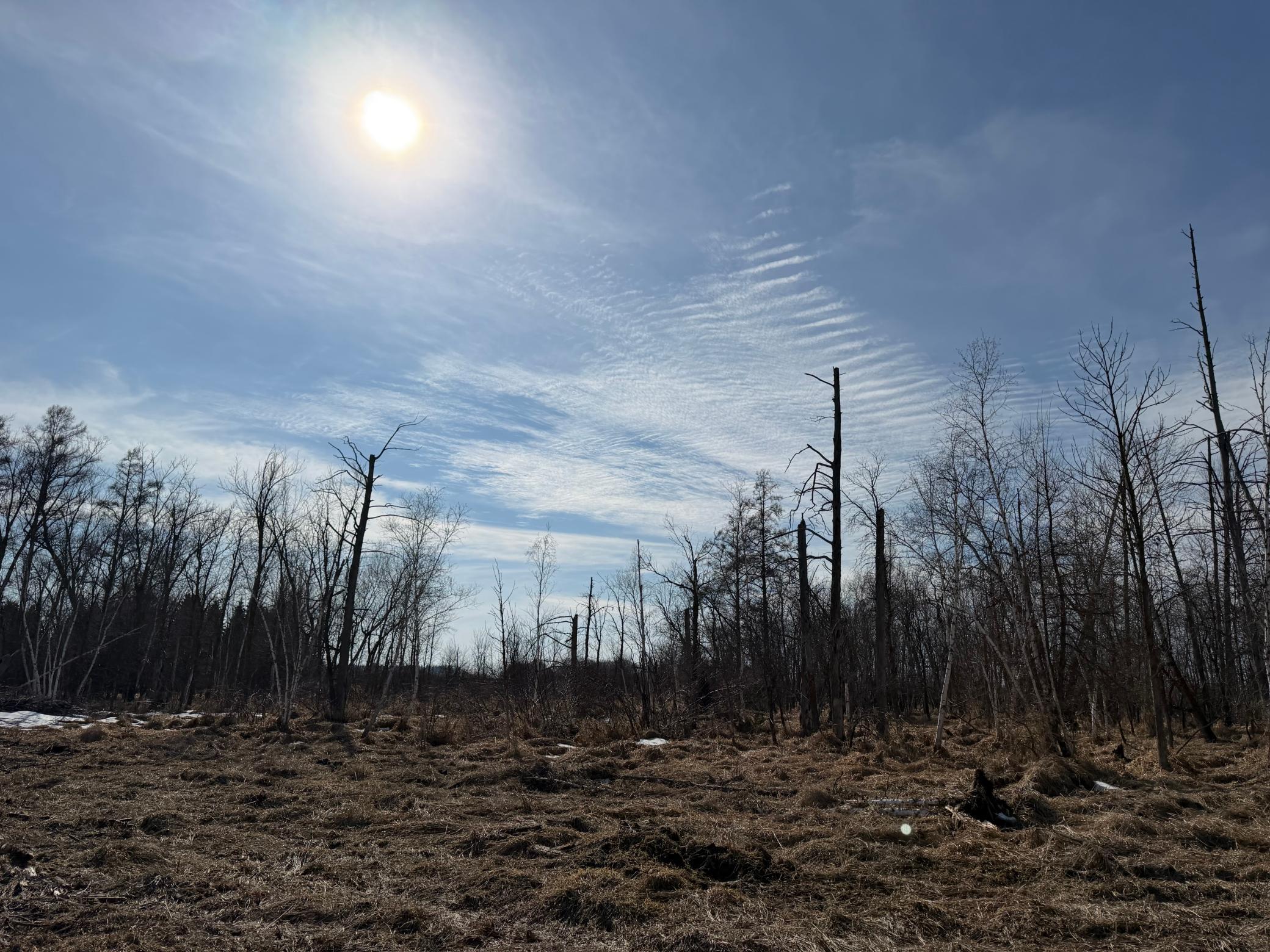 Tbd 270th Street Wadena, MN 56482 - Photo 57 of 81