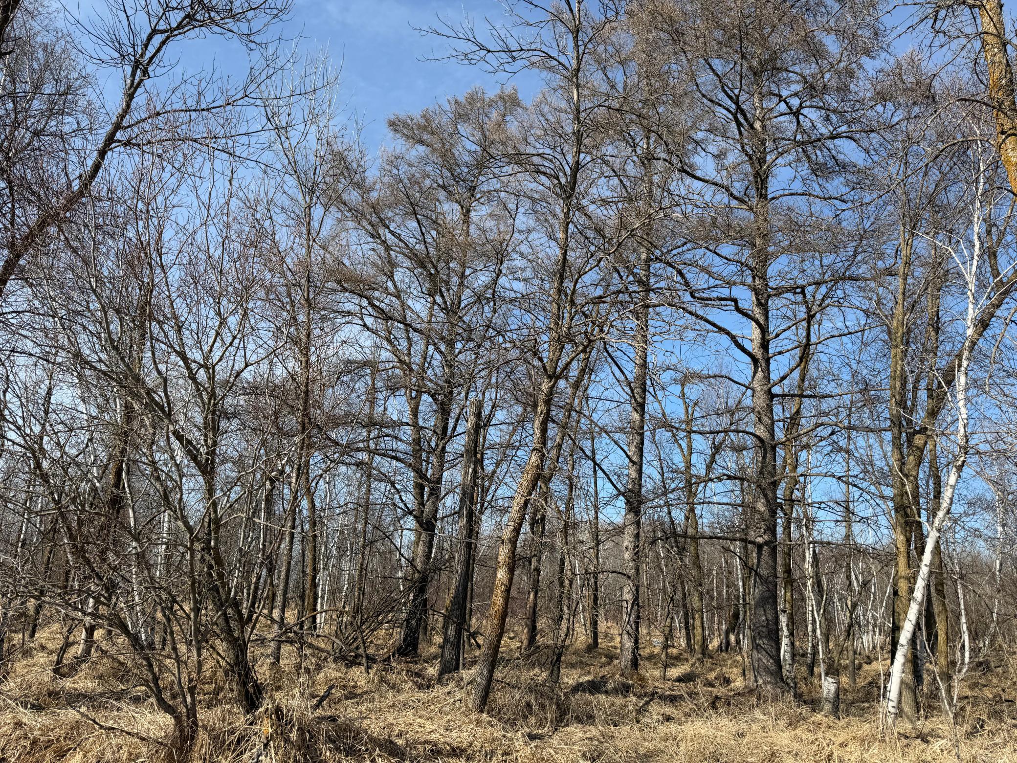 Tbd 270th Street Wadena, MN 56482 - Photo 58 of 81