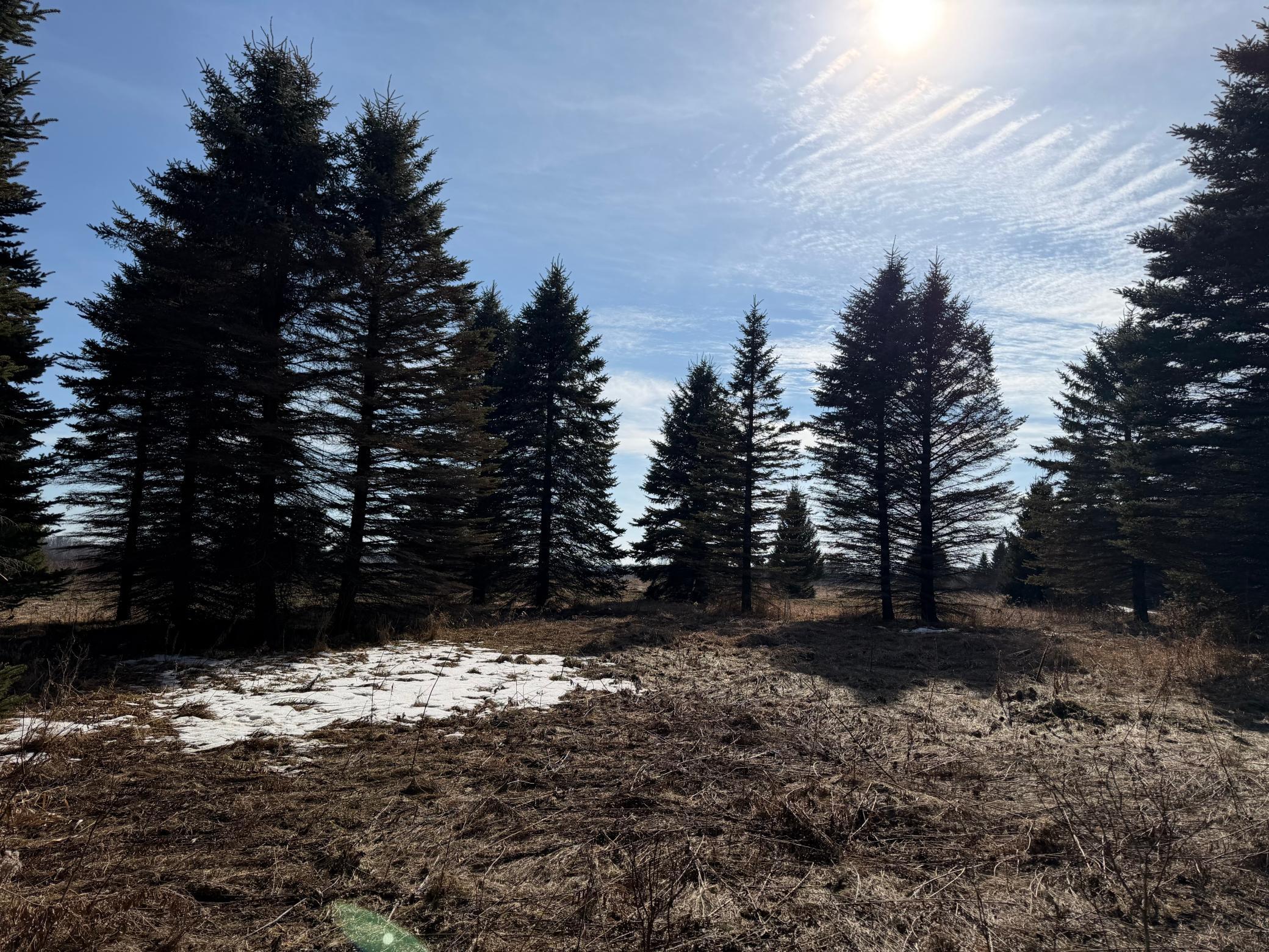 Tbd 270th Street Wadena, MN 56482 - Photo 59 of 81