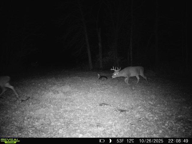 Tbd 270th Street Wadena, MN 56482 - Photo 60 of 81