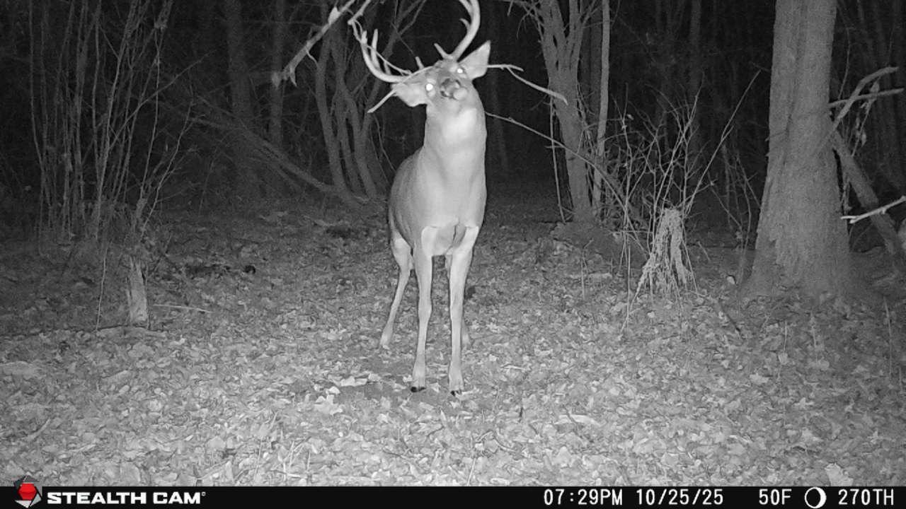 Tbd 270th Street Wadena, MN 56482 - Photo 62 of 81