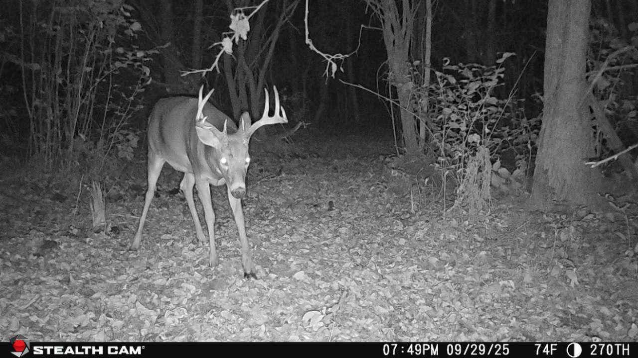 Tbd 270th Street Wadena, MN 56482 - Photo 63 of 81