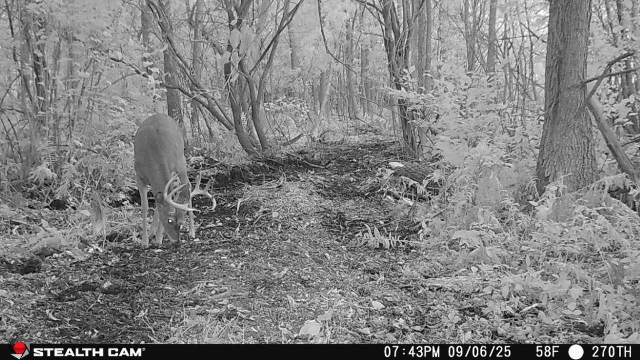 Tbd 270th Street Wadena, MN 56482 - Photo 64 of 81