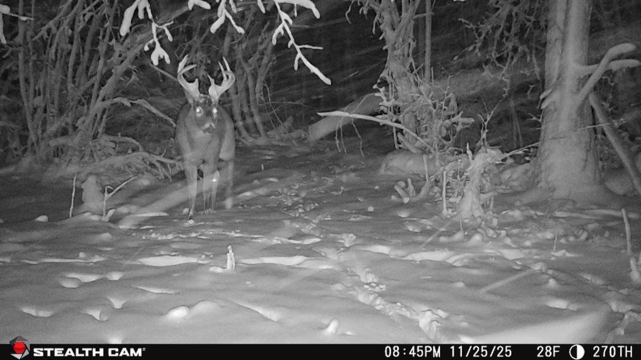 Tbd 270th Street Wadena, MN 56482 - Photo 65 of 81