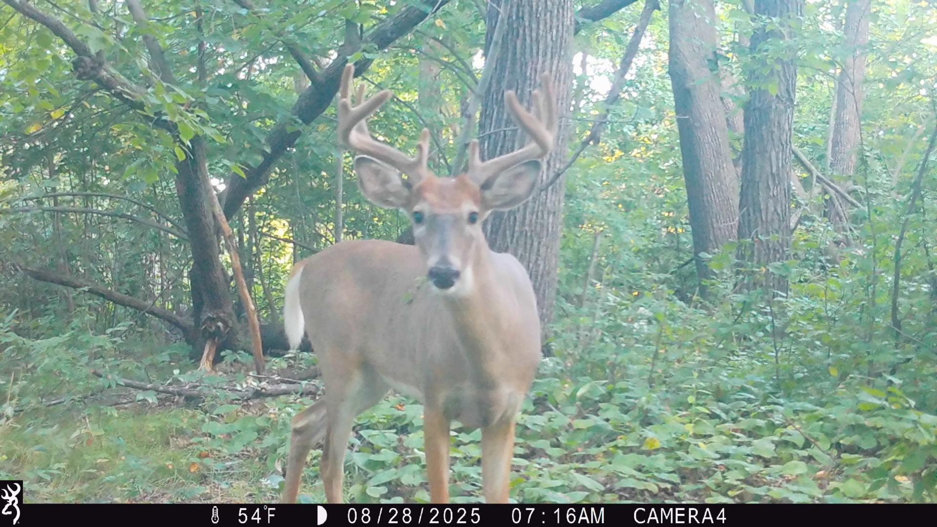 Tbd 270th Street Wadena, MN 56482 - Photo 68 of 81