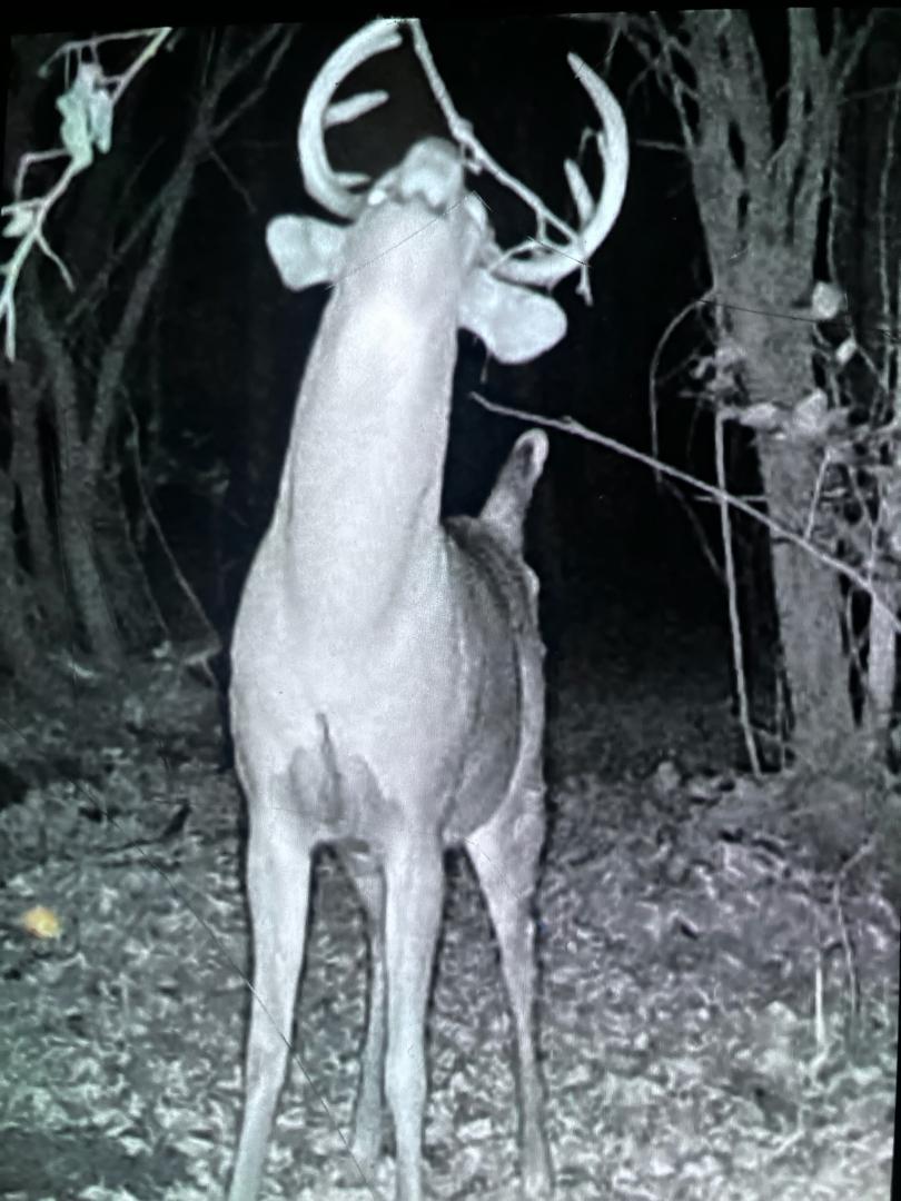 Tbd 270th Street Wadena, MN 56482 - Photo 70 of 81