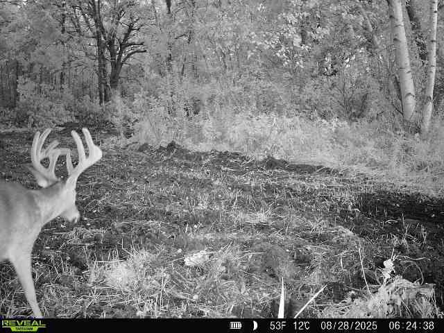 Tbd 270th Street Wadena, MN 56482 - Photo 71 of 81