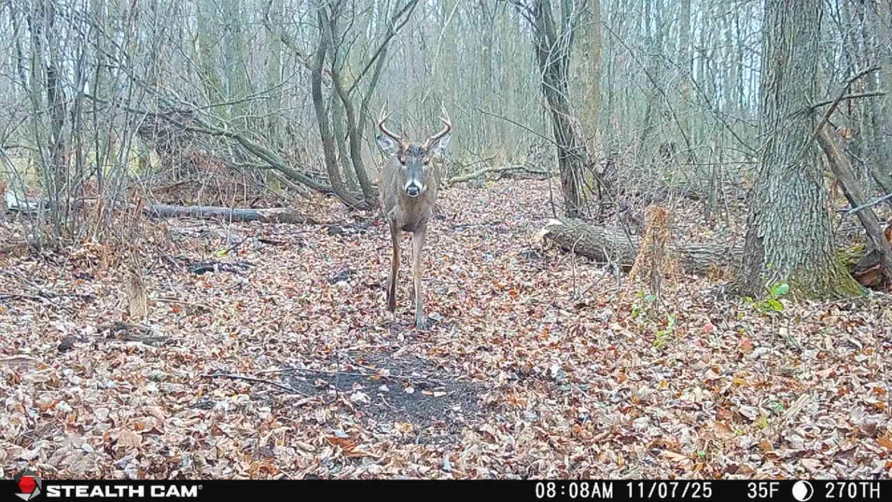Tbd 270th Street Wadena, MN 56482 - Photo 72 of 81