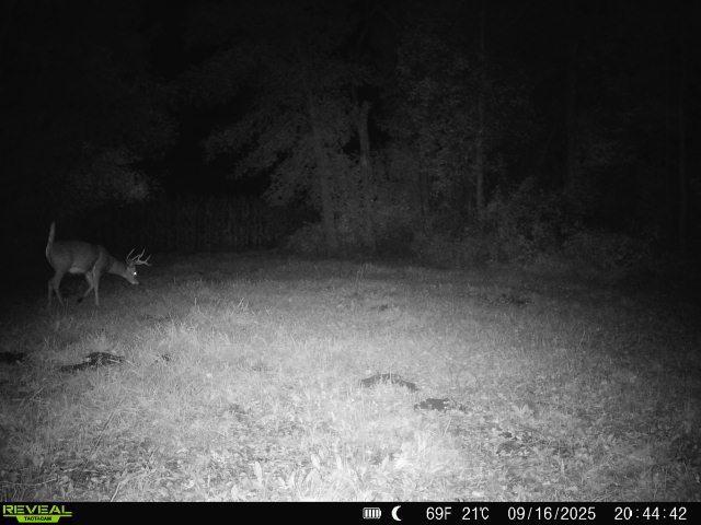 Tbd 270th Street Wadena, MN 56482 - Photo 73 of 81