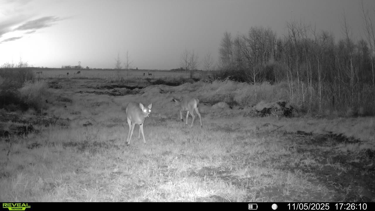 Tbd 270th Street Wadena, MN 56482 - Photo 74 of 81