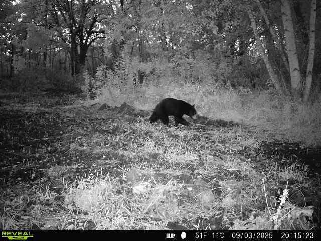 Tbd 270th Street Wadena, MN 56482 - Photo 75 of 81
