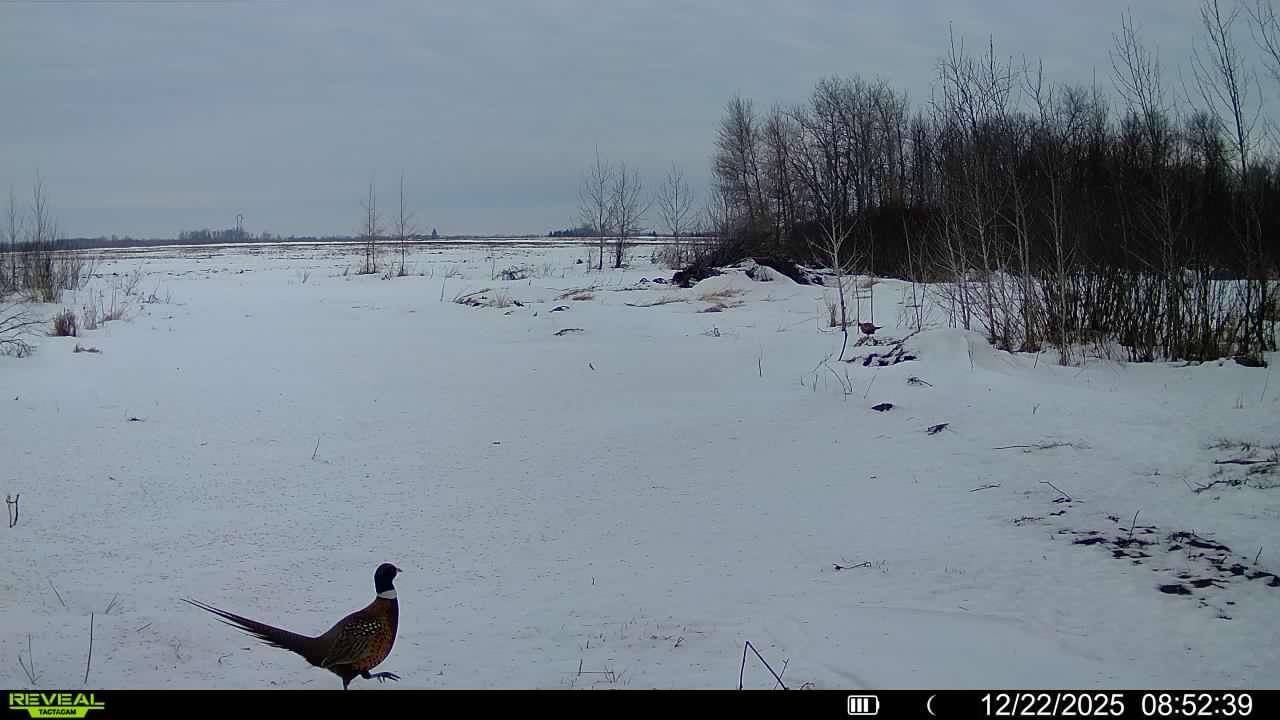 Tbd 270th Street Wadena, MN 56482 - Photo 76 of 81