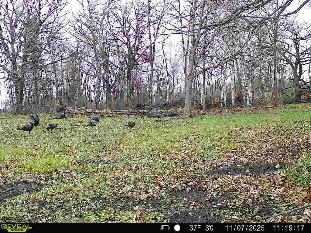 Tbd 270th Street Wadena, MN 56482 - Photo 78 of 81