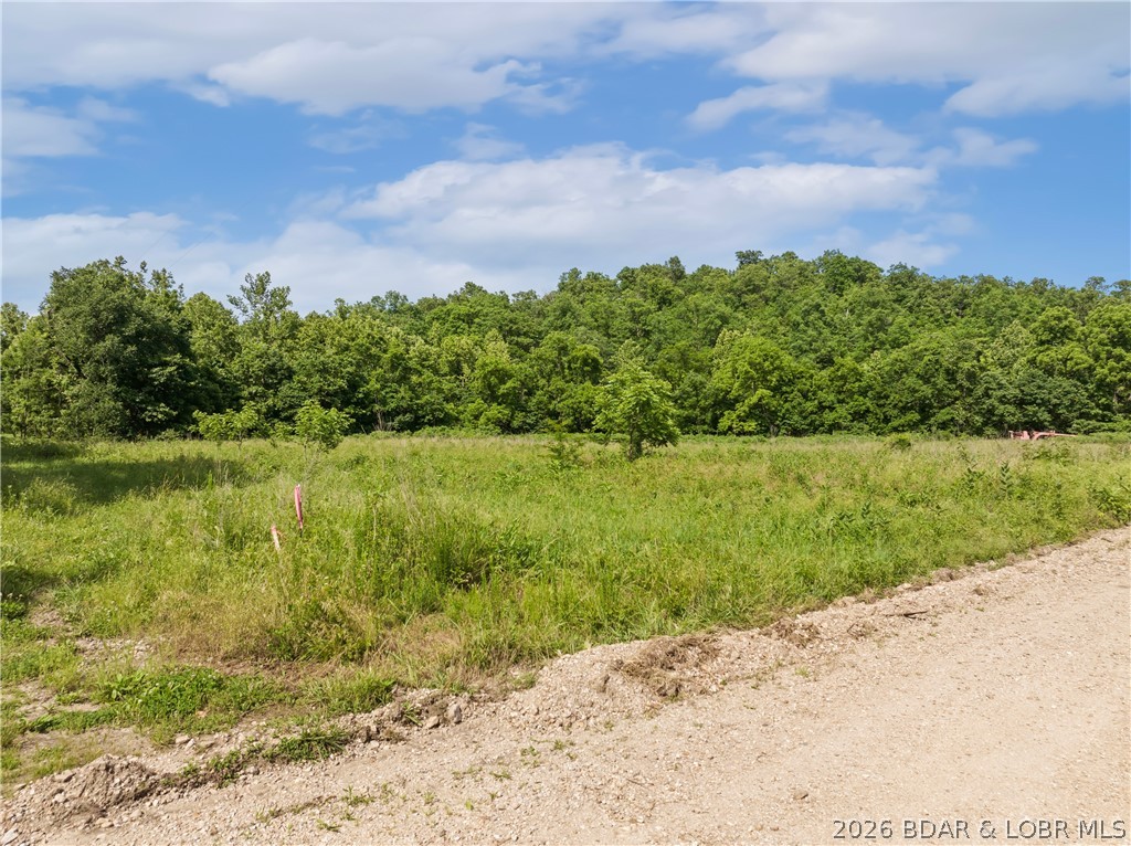 Broads Branch Road Macks Creek, MO 65786 - Photo 2 of 13 Level Lot