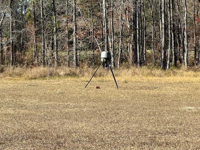 10299 Cravey Bridge Road Florala, AL 36442 - Photo 32 of 50 Gallery Image 32