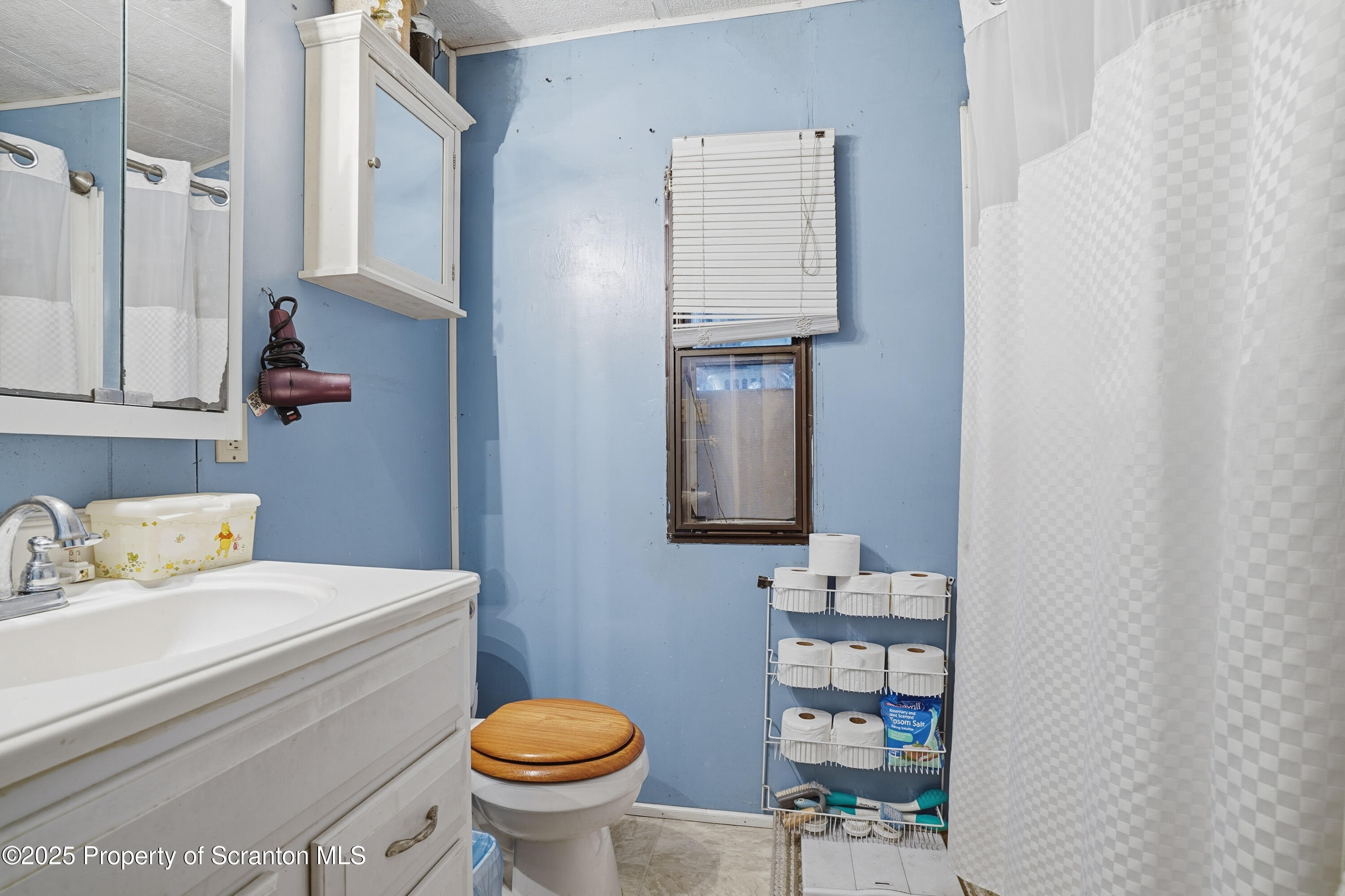 4794 Highway 706 Wyalusing, PA 18853 - Photo 17 of 40 a bathroom with a sink toilet and shower