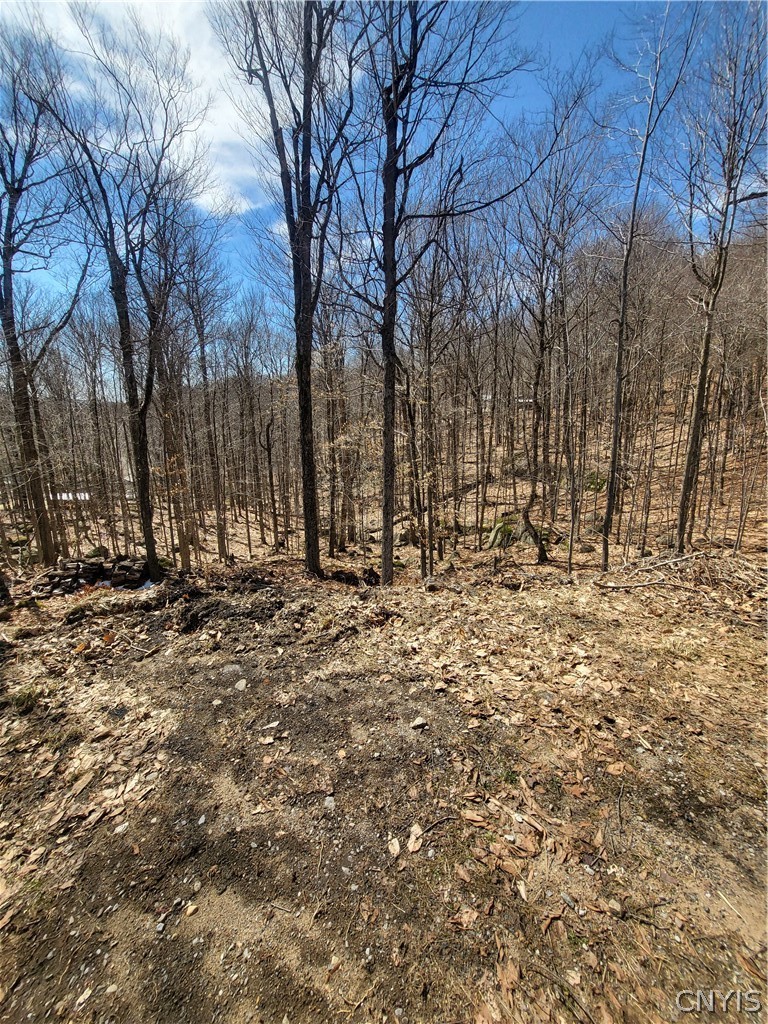 115 Mohawk Drive West Webb, NY 13420 - Photo 3 of 7