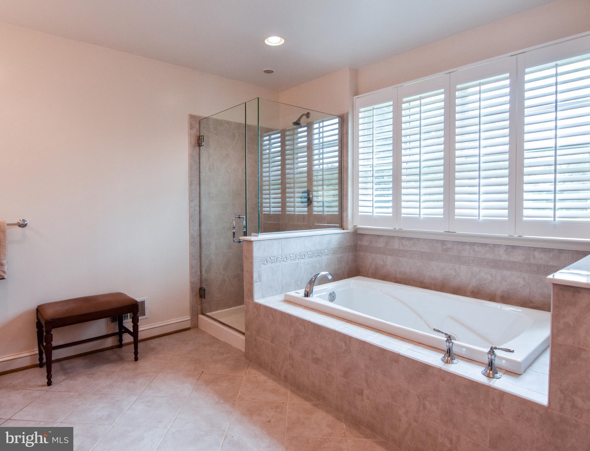 3919 Dance Mill Road Phoenix, MD 21131 - Photo 11 of 30 Bath (Master)