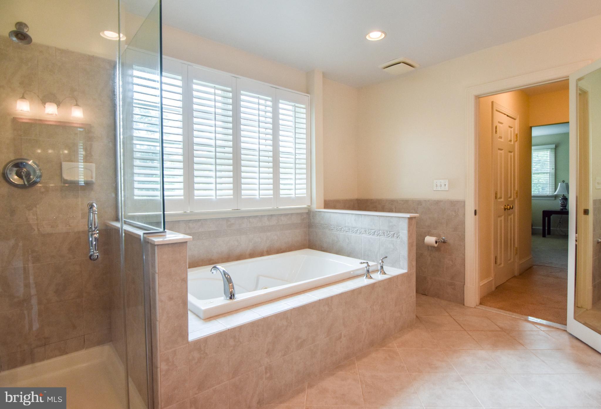 3919 Dance Mill Road Phoenix, MD 21131 - Photo 12 of 30 Bath (Master)