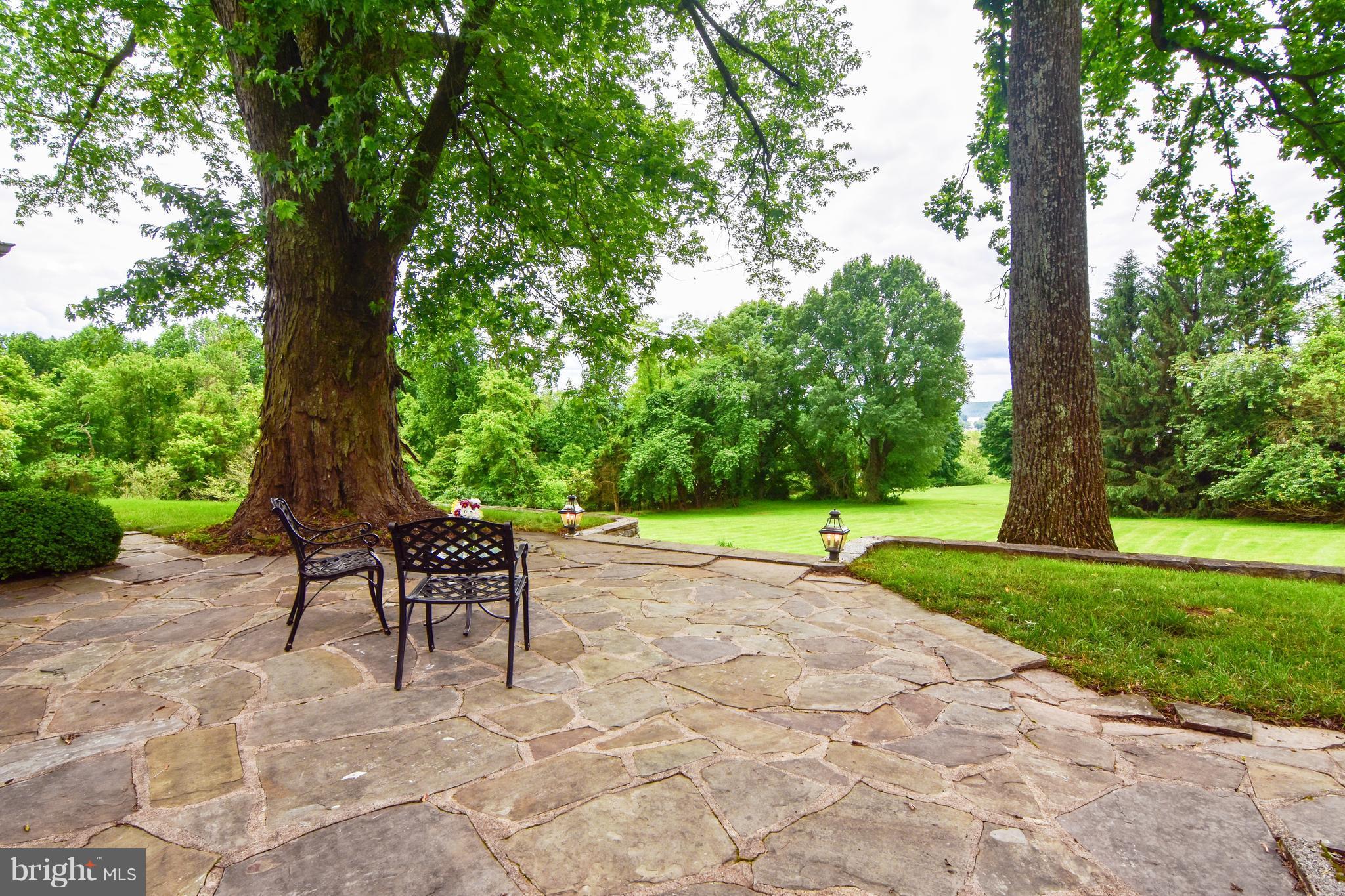 3919 Dance Mill Road Phoenix, MD 21131 - Photo 28 of 30 Beautiful stone patio