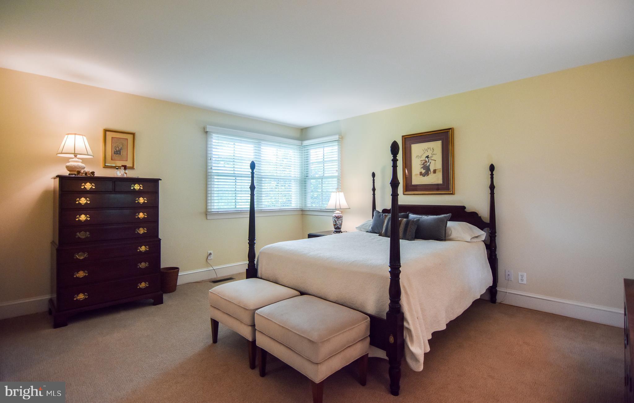 3919 Dance Mill Road Phoenix, MD 21131 - Photo 9 of 30 Bedroom (Master)
