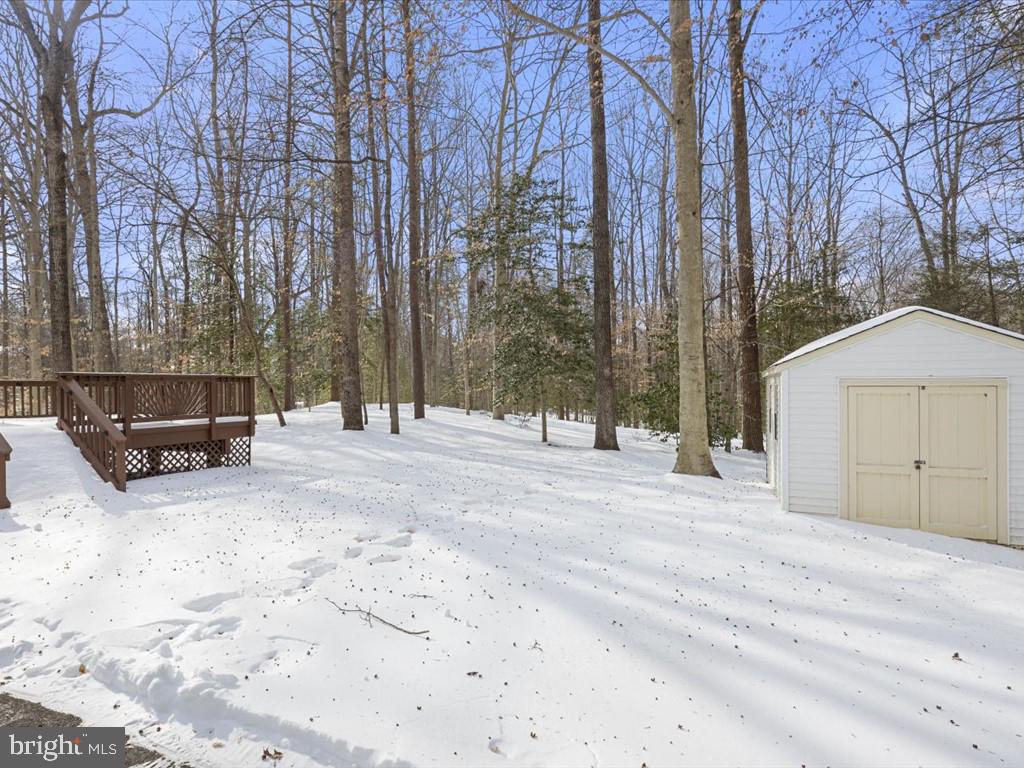 11920 Coloriver Road Manassas, VA 20112 - Photo 54 of 58 End of long driveway with shed
