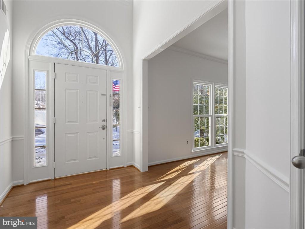 11920 Coloriver Road Manassas, VA 20112 - Photo 6 of 58 beautiful natural light in foyer