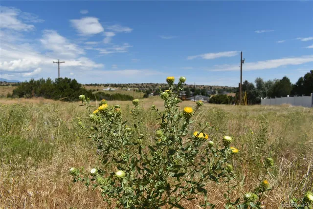 a view of a lake with a city