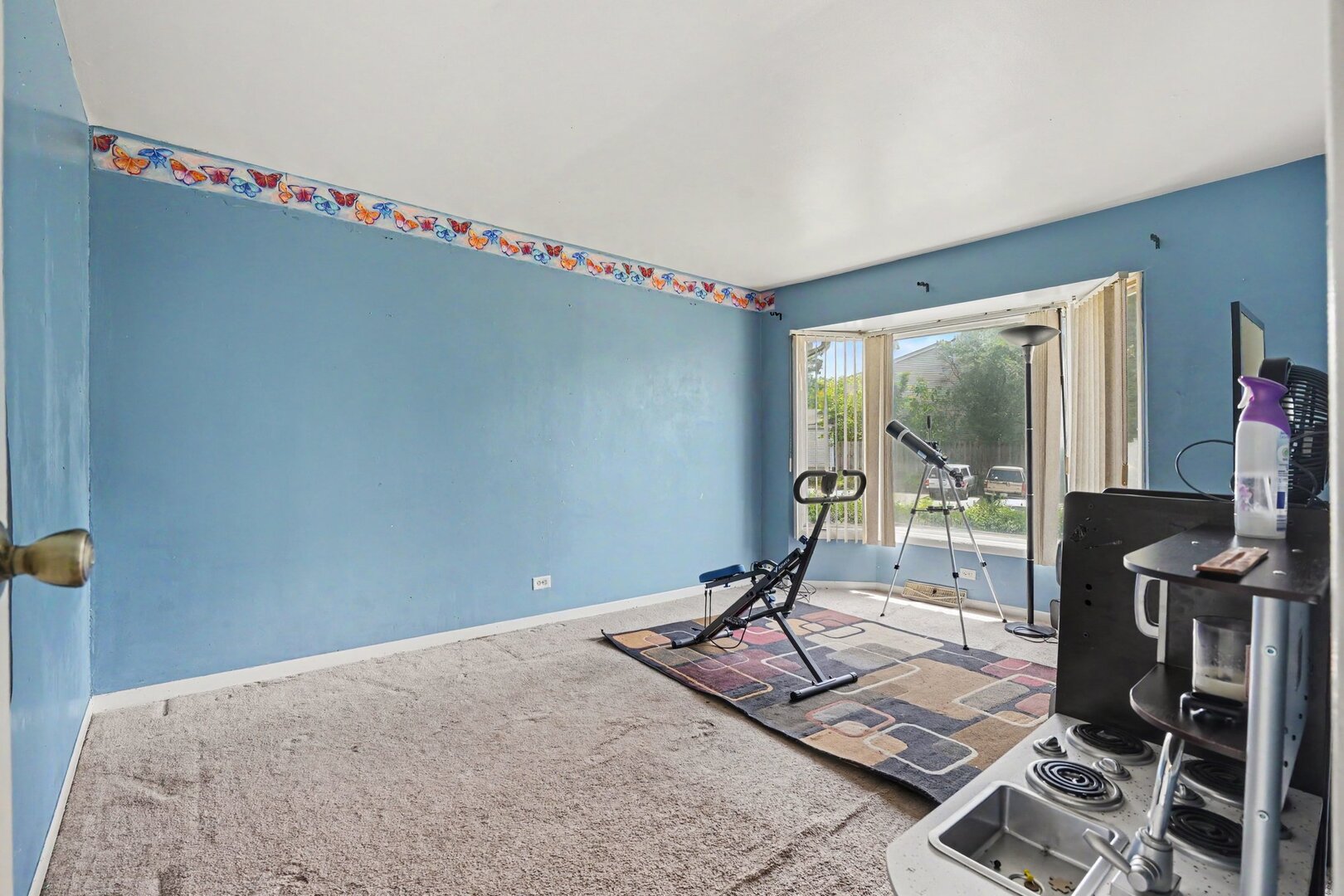 157 Thomas Road, Unit 157 Bolingbrook, IL 60440 - Photo 10 of 19