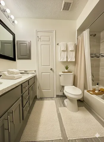 a bathroom with a sink a toilet and mirror
